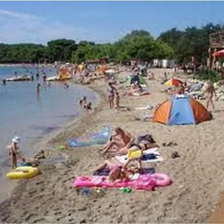 Burle A4 1 * Medulin