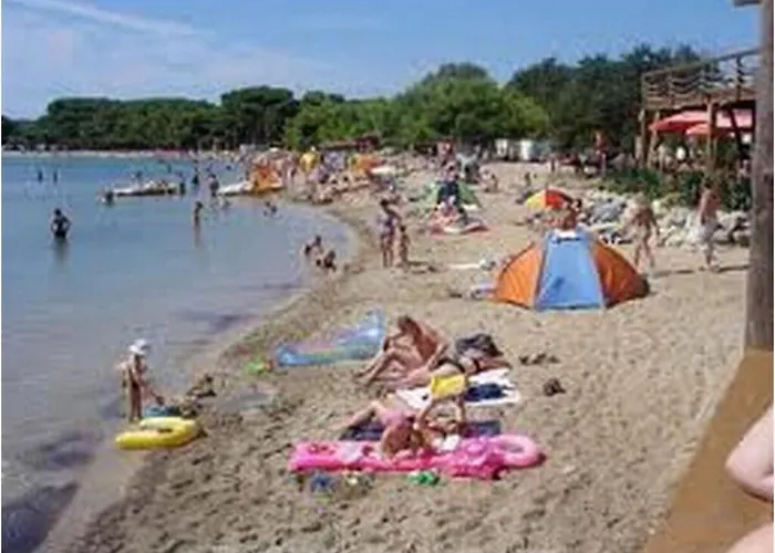 Burle A4 1 * Medulin